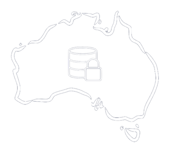MEDILIT process all data locally